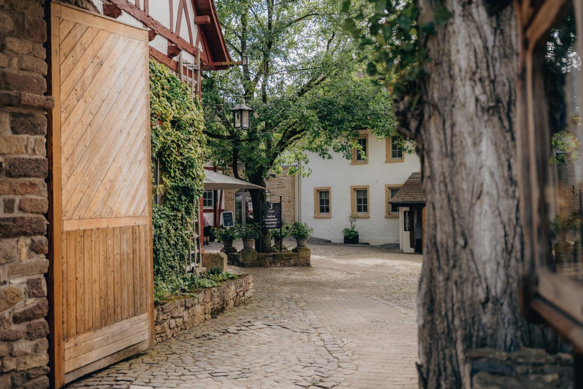 Jordan'S Untermuehle Hotel Kongernheim Екстериор снимка